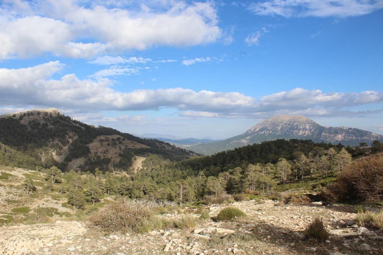 La Noguera Casa Rural Huescar Bagian luar foto